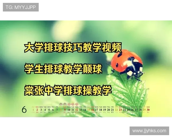 从零起步掌握排球技巧全面指南助你成为排球高手