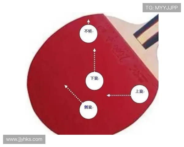 从零基础到高手之路乒乓球比赛技巧与经验全解析